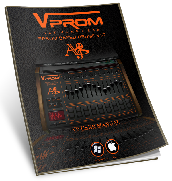 VProm User Manual